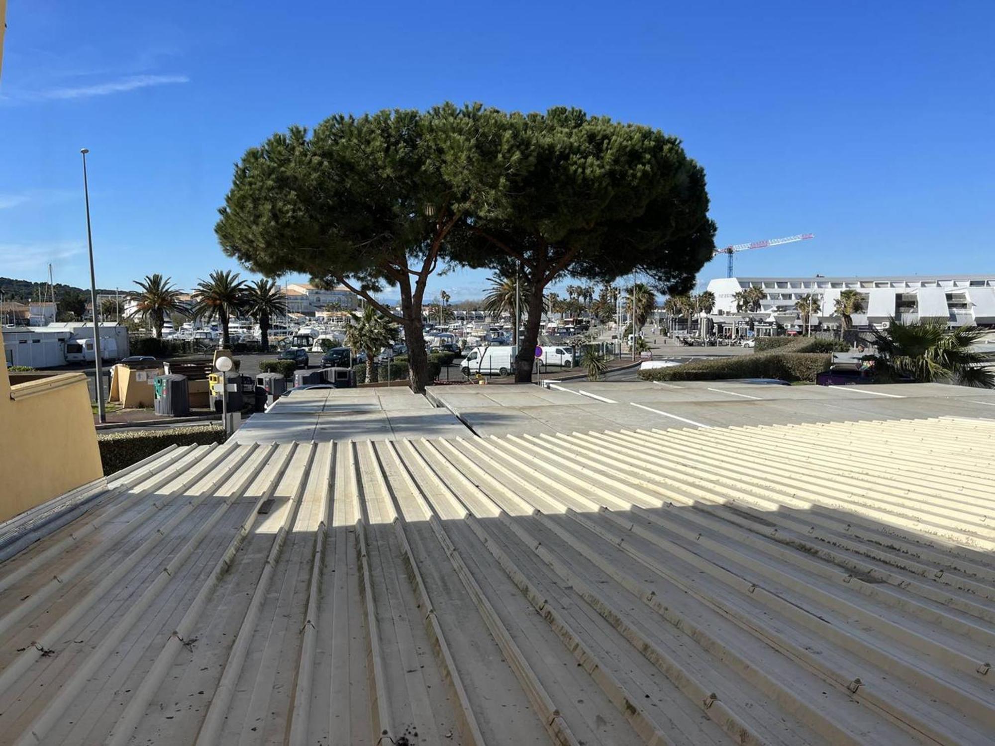 Studio Naturiste Avec Parking Au Cap D'Agde, Proche Plage - Fr-1-249A-15 Apartman Kültér fotó